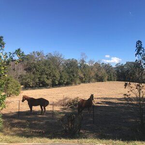 Meet your Posher, Posh